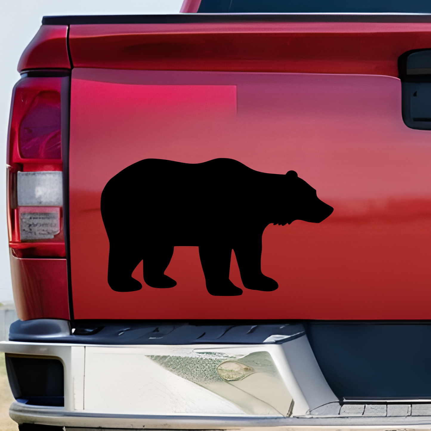 Bear Vinyl Decal Sticker | Grizzly Bear | Black Bear Decal