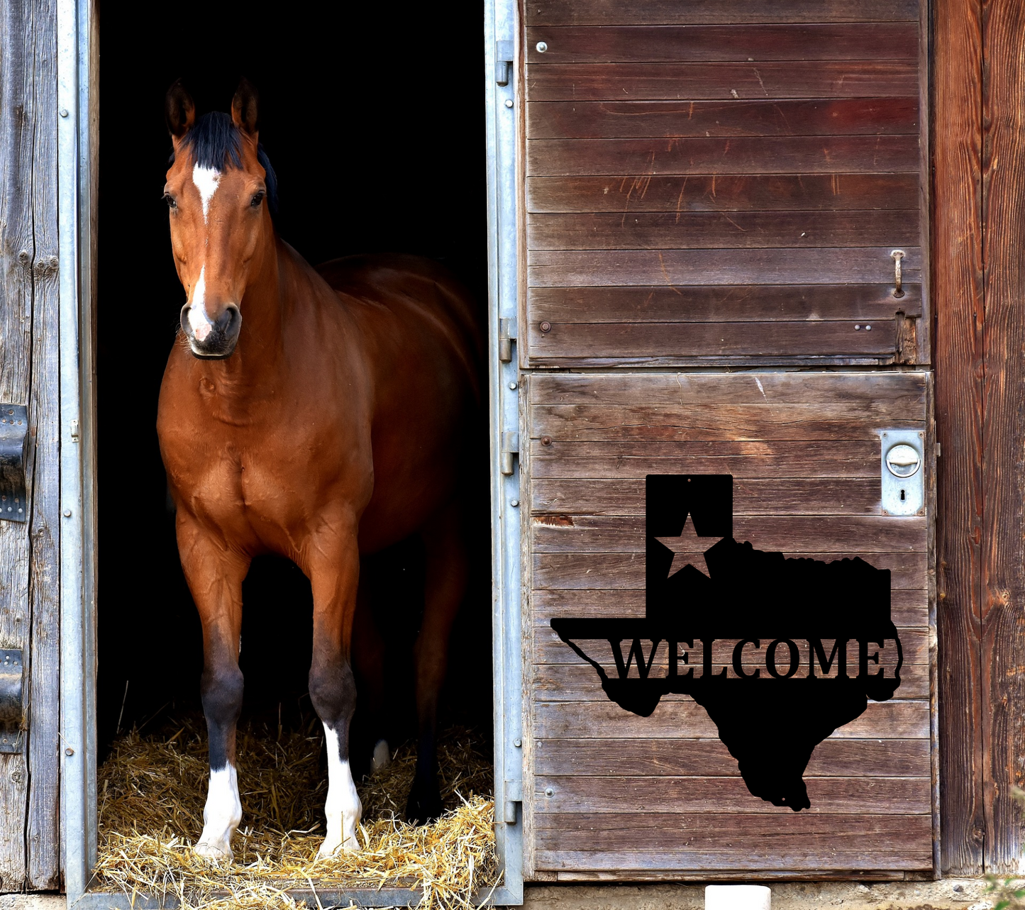 Welcome State of Texas Metal Sign