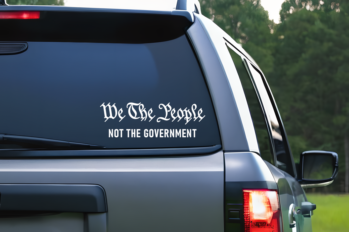We The People Not The Government 1776 Constitutional Vinyl Decal Sticker for Car Window